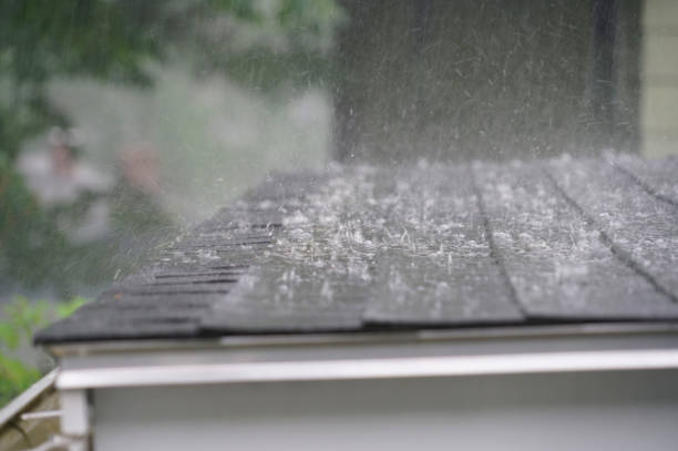 Best Cold Roofs  in Waimalu, HI